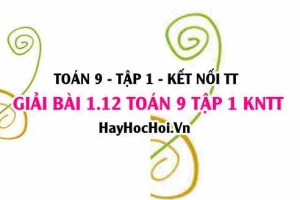 Giải 1.12 Toán 9 tập 1 SGK Kết nối tri thức: Giải hệ phương trình bậc nhất 2 ẩn